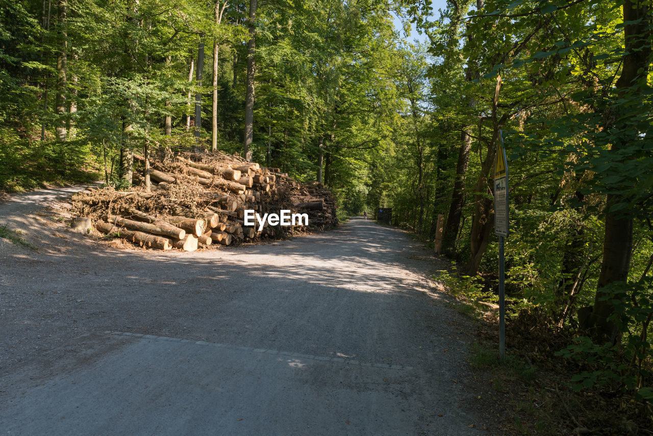 STACK OF LOGS ON ROAD AMIDST TREES IN FOREST