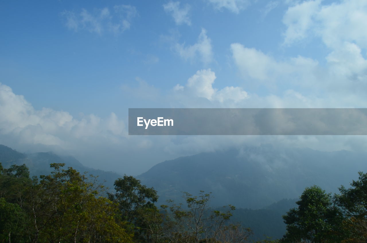 Trees and mountains against cloudy sky