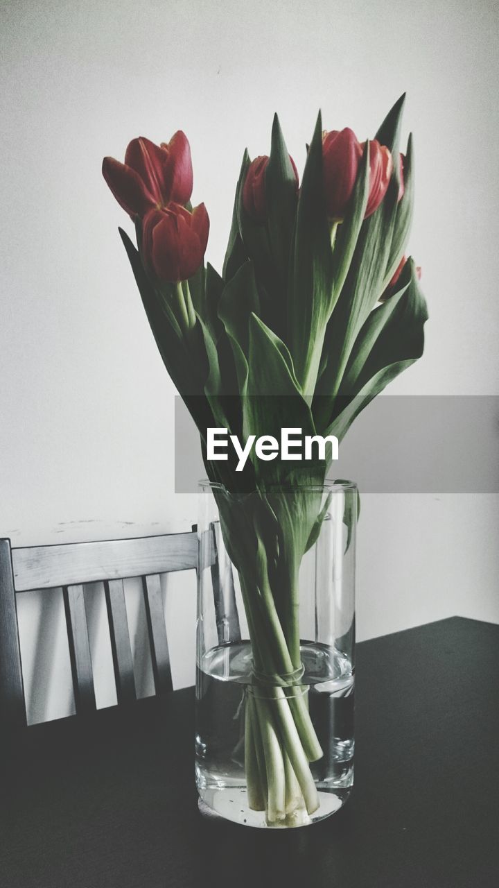 Close-up of red roses in vase