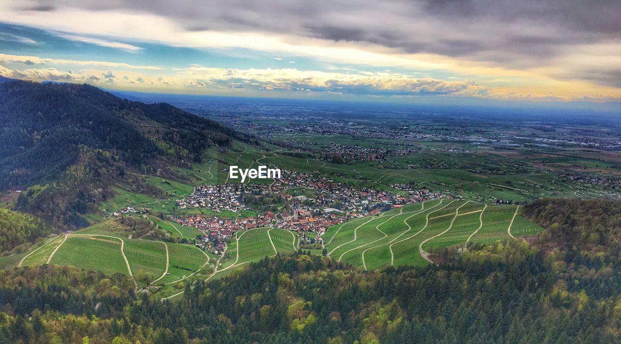 Scenic view of agricultural field against sky