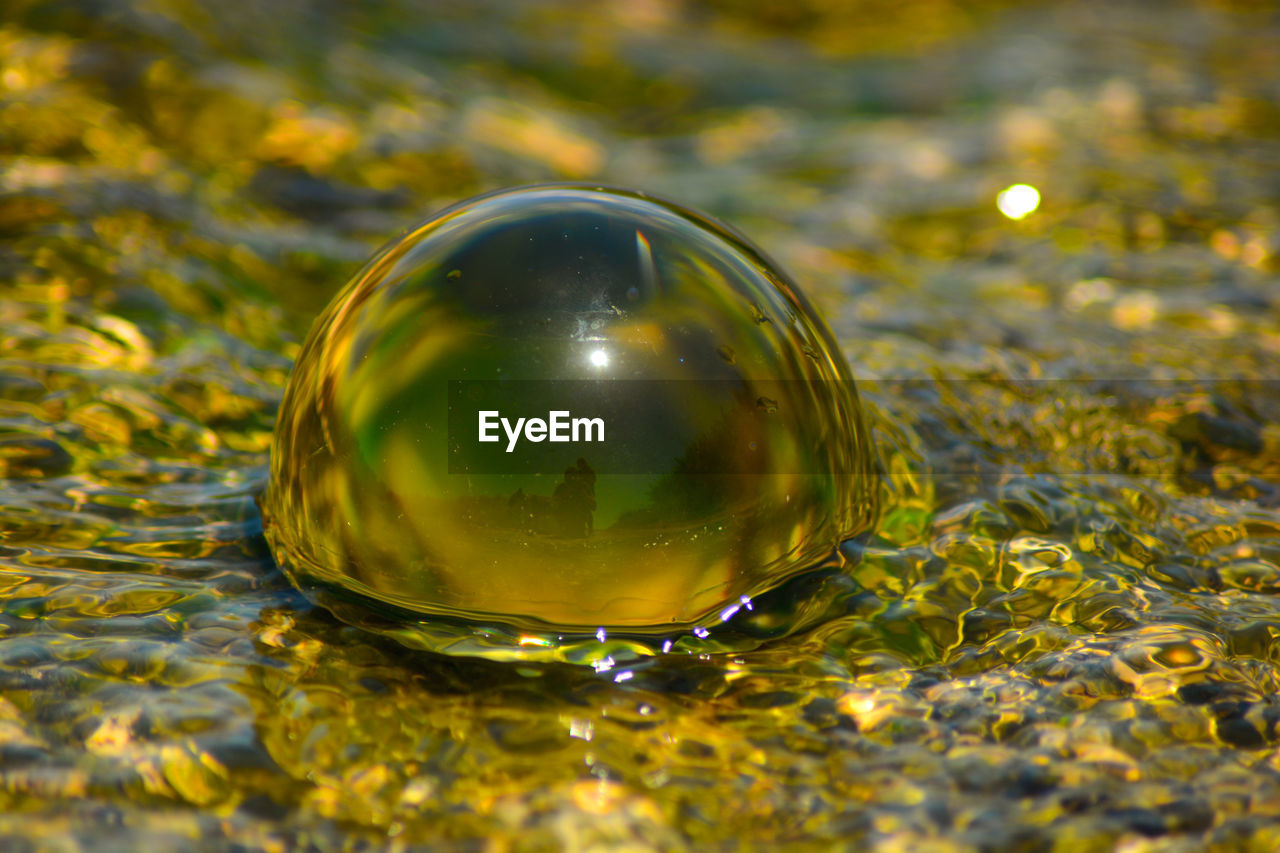 Close-up of water ball on glass