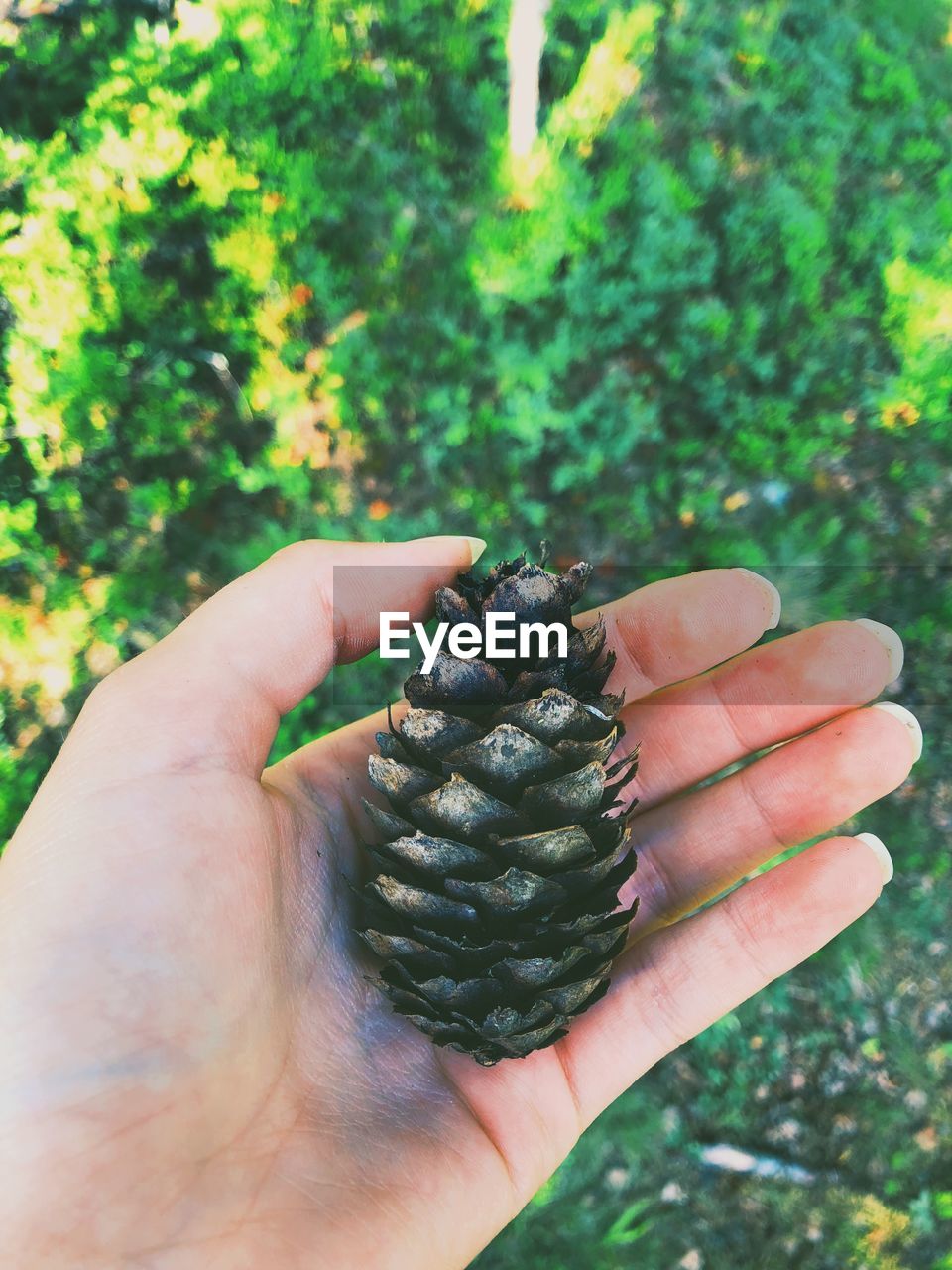 CROPPED IMAGE OF PERSON HOLDING ICE CREAM