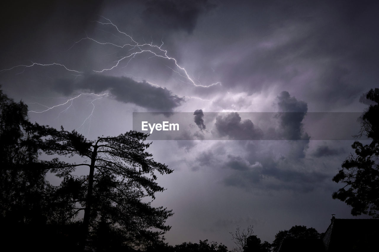 LOW ANGLE VIEW OF LIGHTNING OVER SILHOUETTE TREES