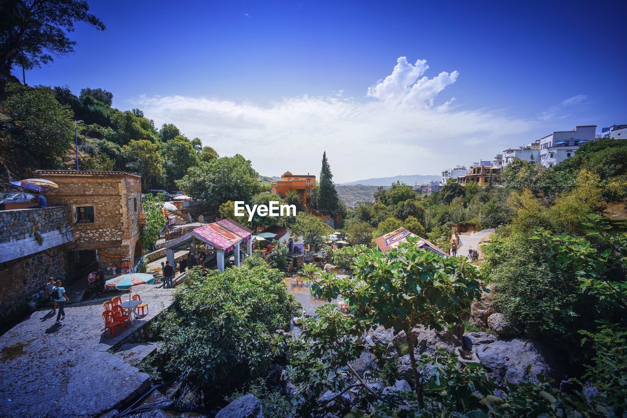 HIGH ANGLE VIEW OF TREES AND PLANTS OUTSIDE BUILDING