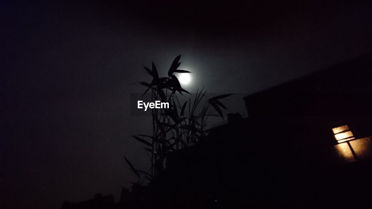 LOW ANGLE VIEW OF SILHOUETTE PALM TREE AGAINST SKY