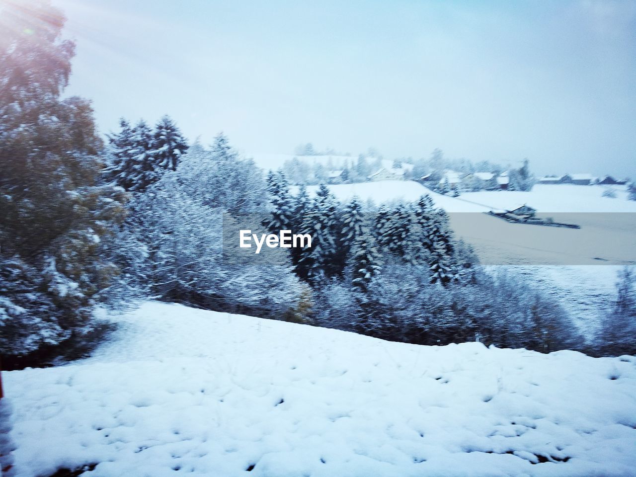 FROZEN TREES AGAINST SKY