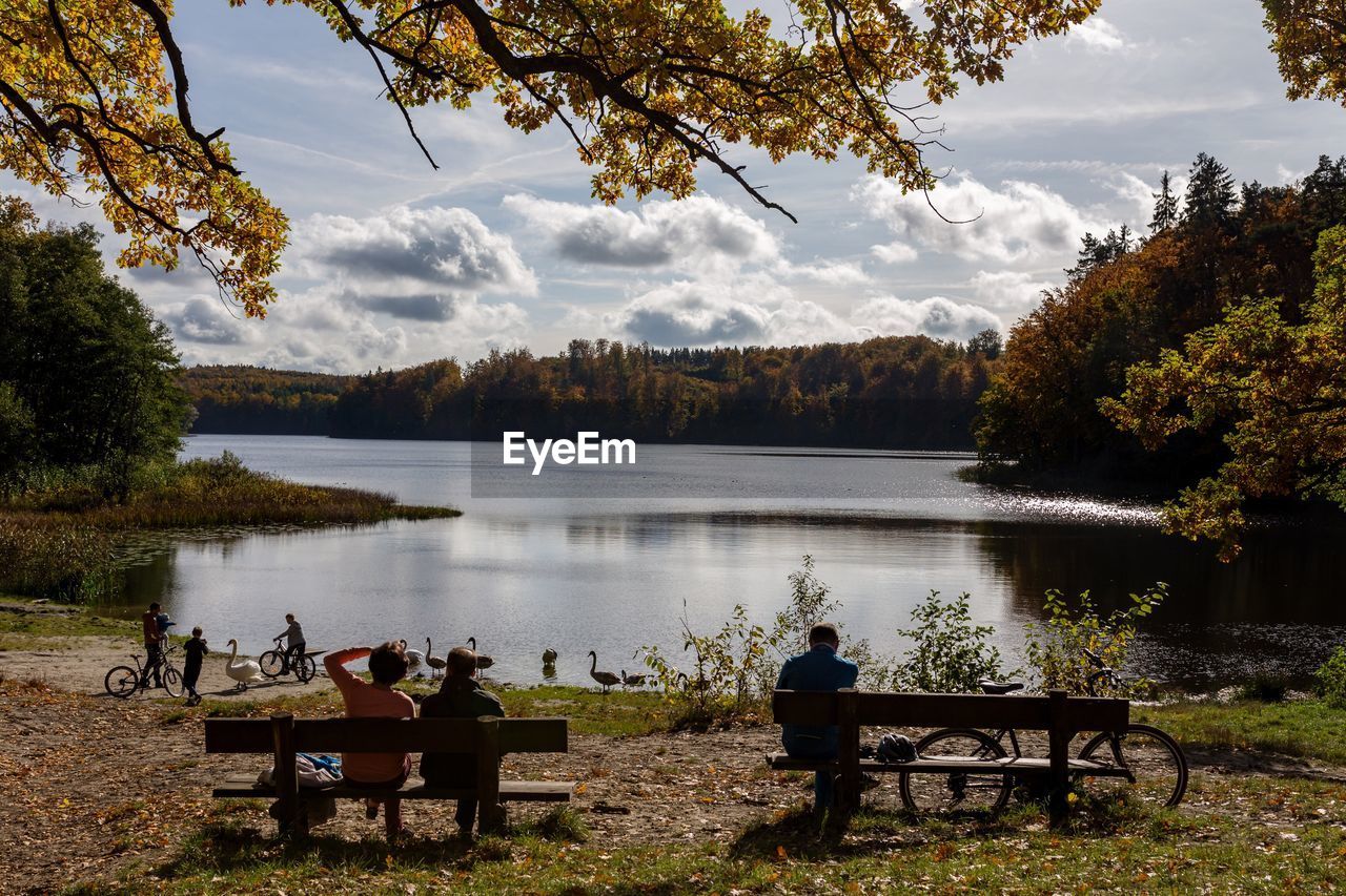 Rear view of people sitting on bench at lakeshore