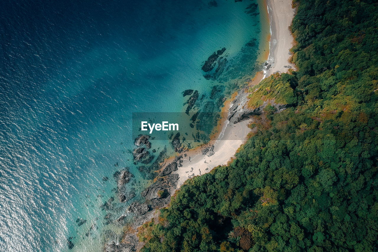 High angle view of trees at beach