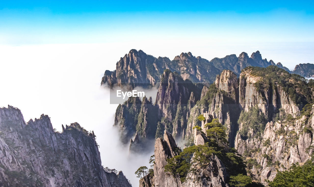 View of the clouds and the pine tree at the mountain peaks of huangshan national park, china. 