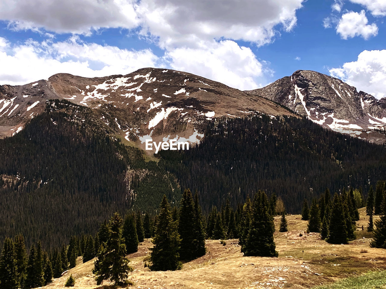 mountain, wilderness, scenics - nature, environment, tree, sky, landscape, beauty in nature, coniferous tree, mountain range, snow, nature, plant, pinaceae, pine tree, cloud, land, pine woodland, forest, snowcapped mountain, cold temperature, travel destinations, winter, no people, ridge, travel, non-urban scene, tranquil scene, mountain peak, tranquility, plateau, valley, tourism, outdoors, day, mountain pass, idyllic, rock, woodland