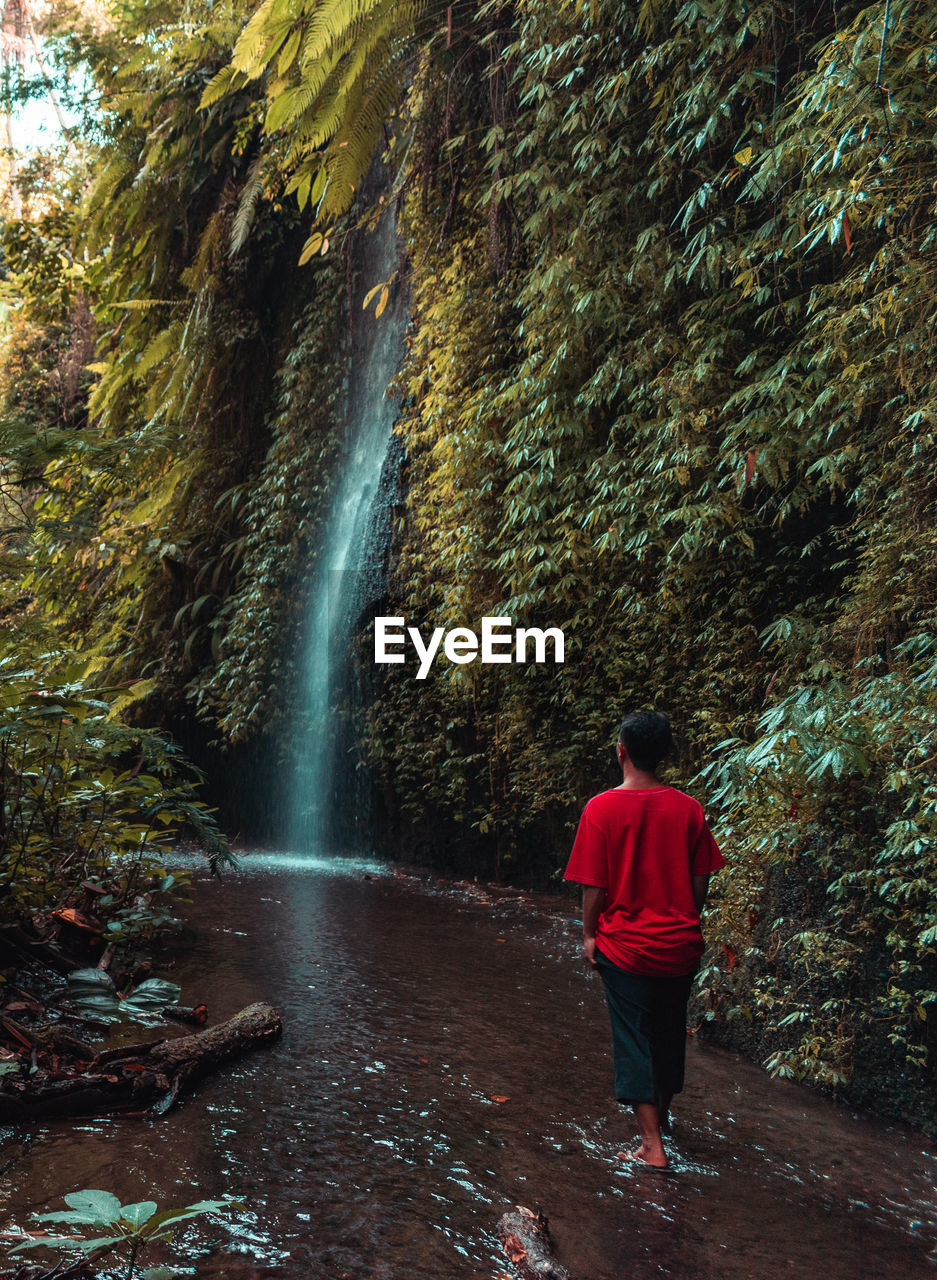 FULL LENGTH REAR VIEW OF WATERFALL IN FOREST