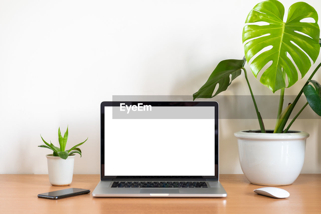 Blank screen of laptop computer with smart phone, plant pot and monstera plant pot on wooden table