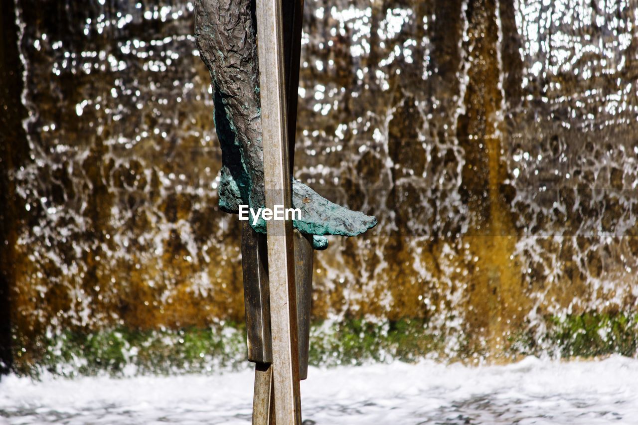 CLOSE-UP OF SNOW ON WATER DROPS