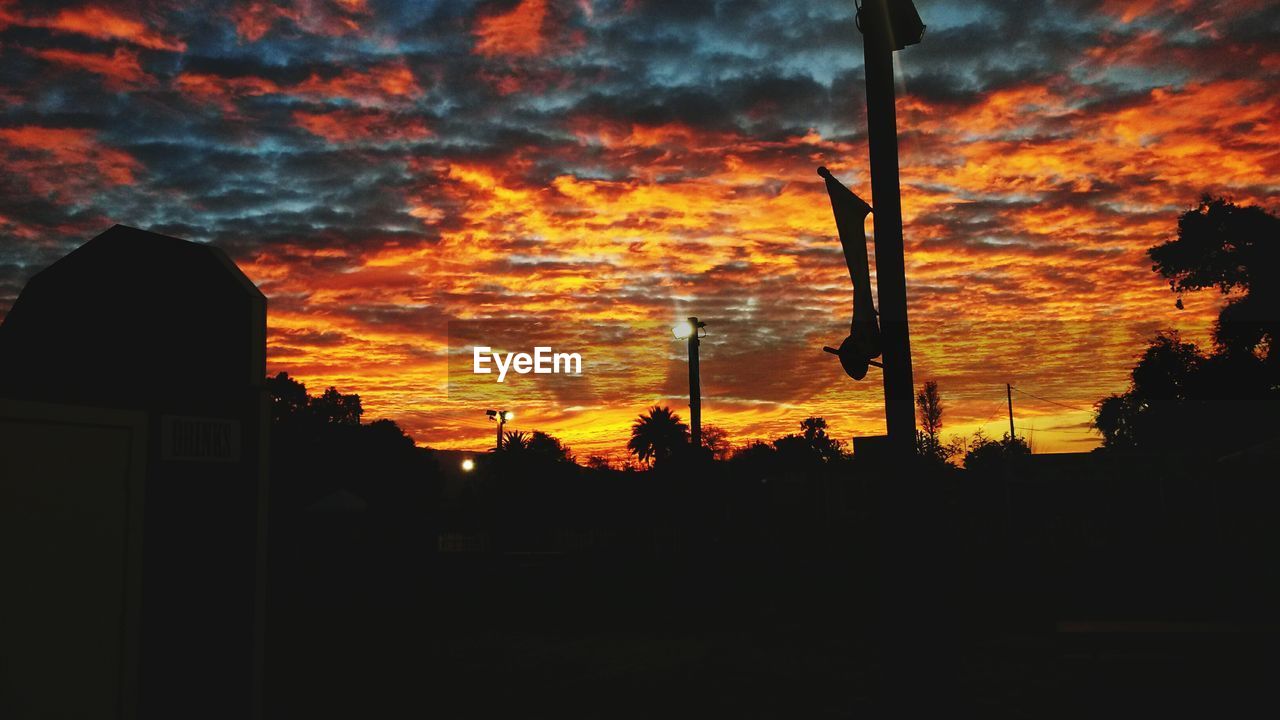 Low angle view of silhouette trees against sky during sunset