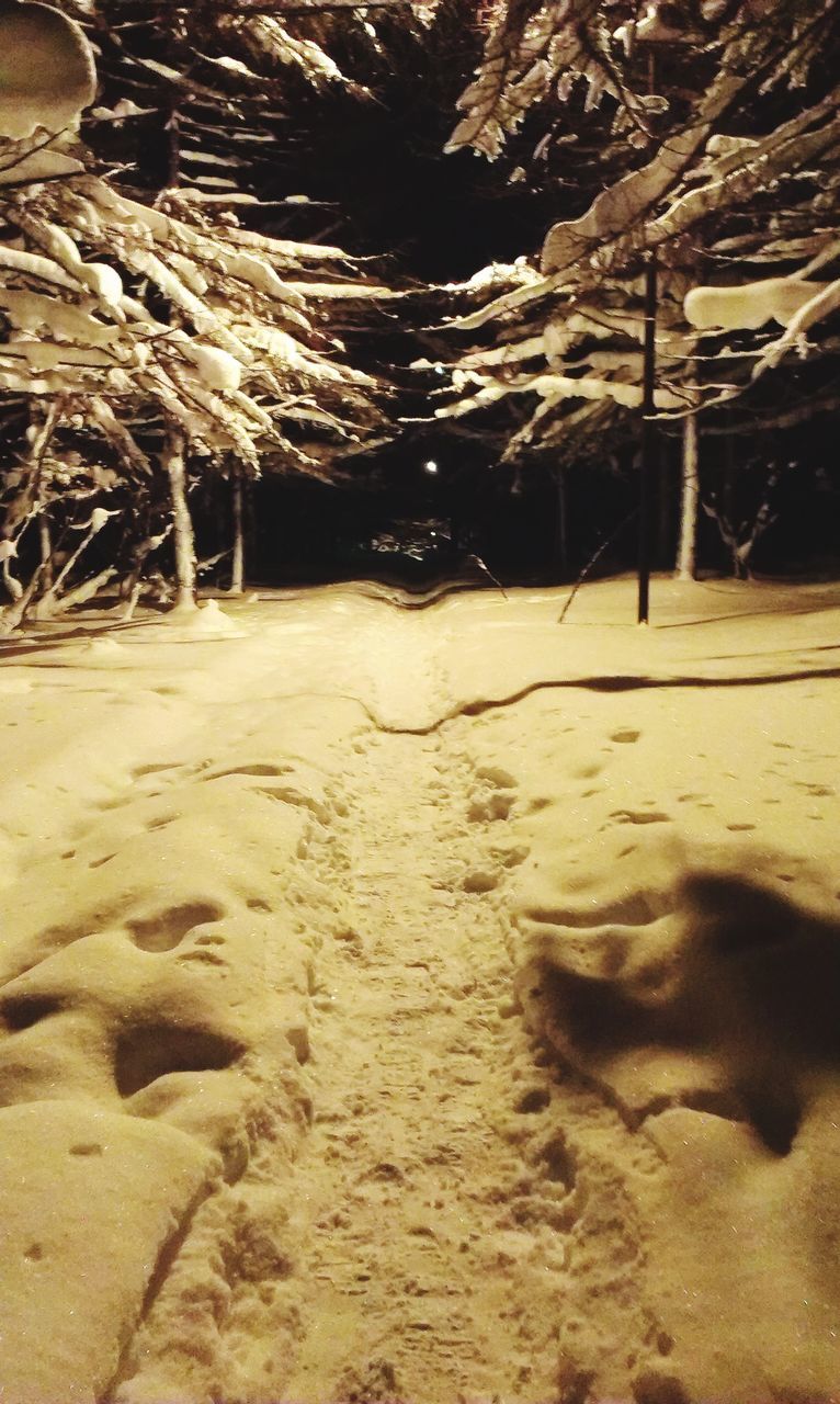 TIRE TRACKS IN SNOW