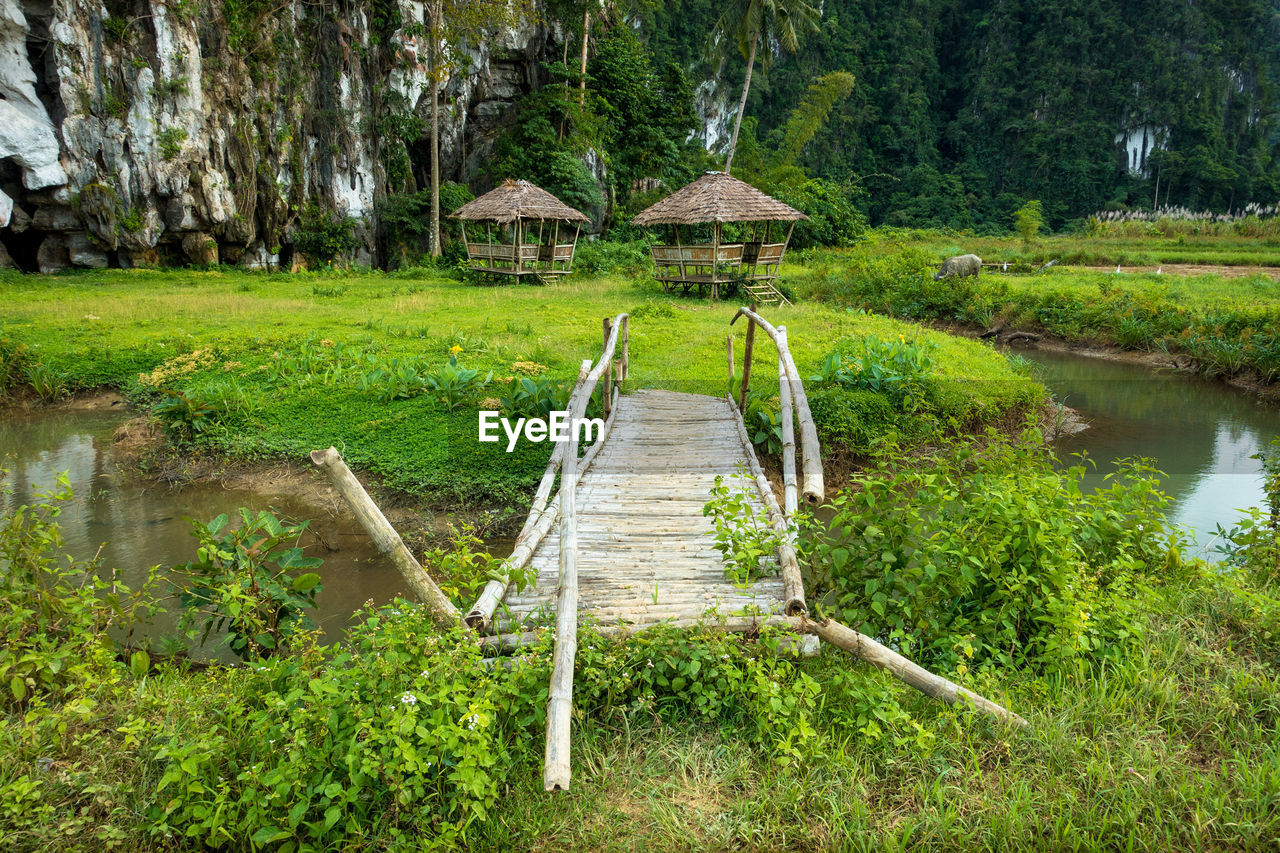 Scenic view of lake by trees