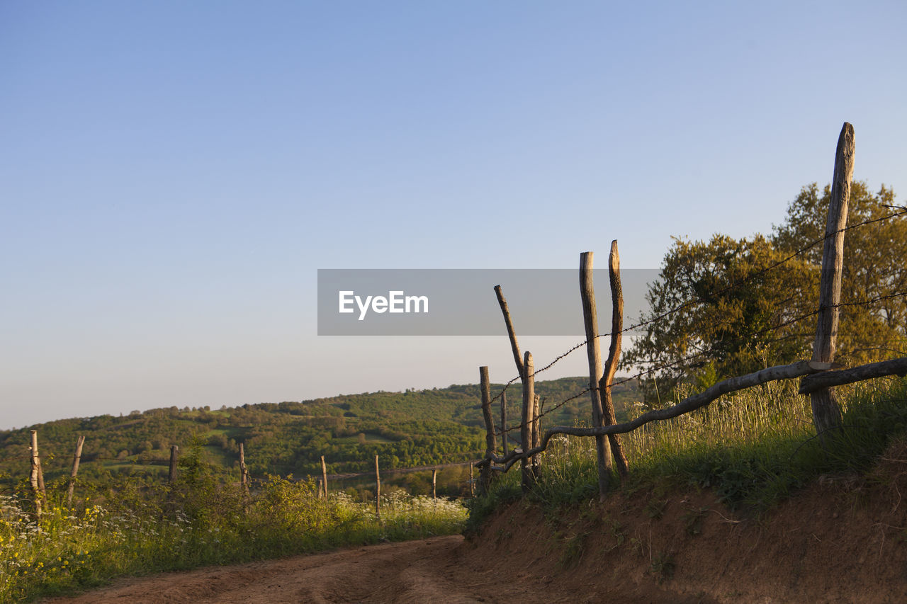 Scenic view of field against clear sky