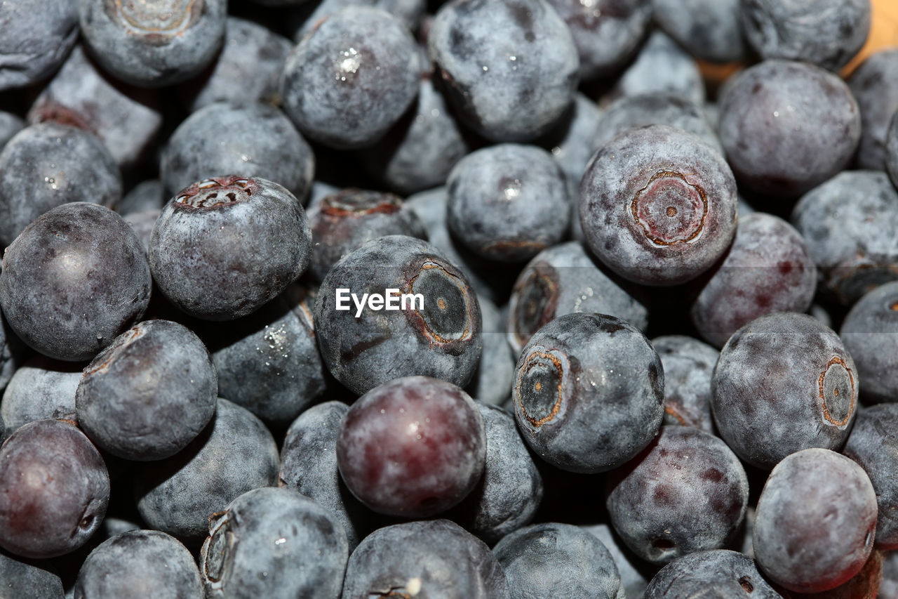 Full frame shot of blueberries