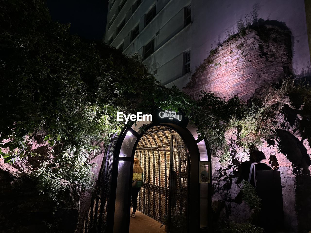 night, architecture, darkness, light, plant, built structure, building exterior, tree, building, nature, no people, lighting, flower, outdoors, growth, house, evening, urban area, city