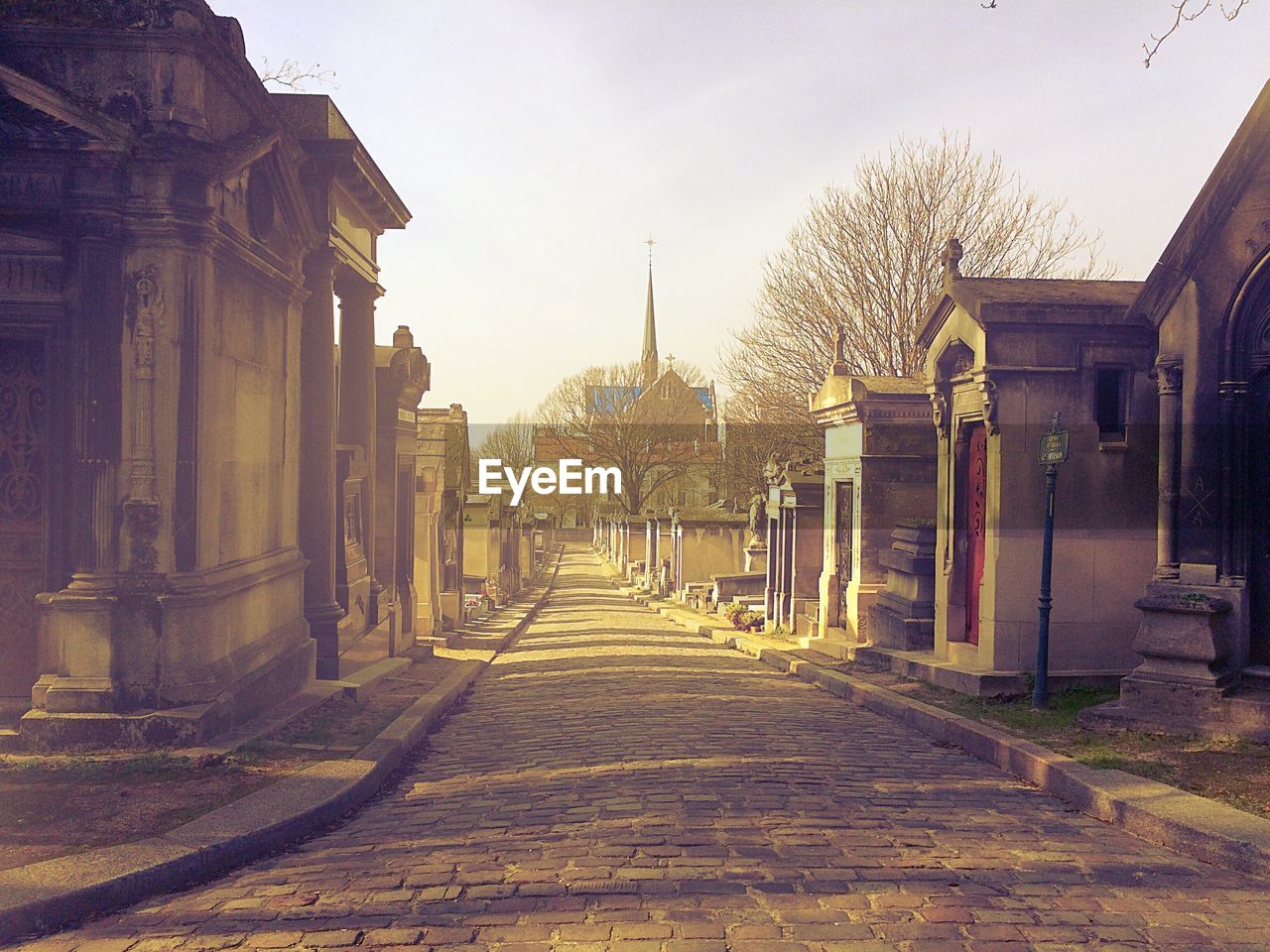 View of new orleans cemetary