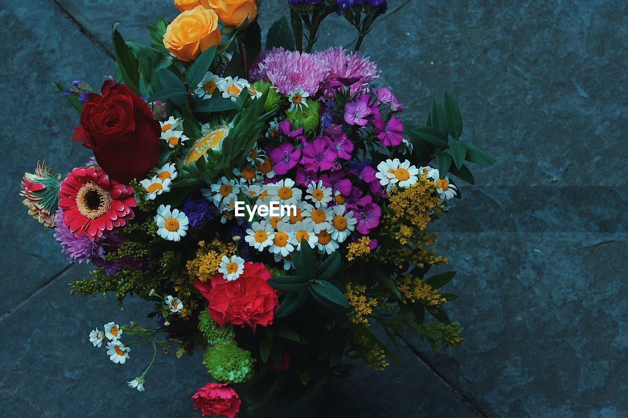 HIGH ANGLE VIEW OF FLOWERS BLOOMING ON PLANT