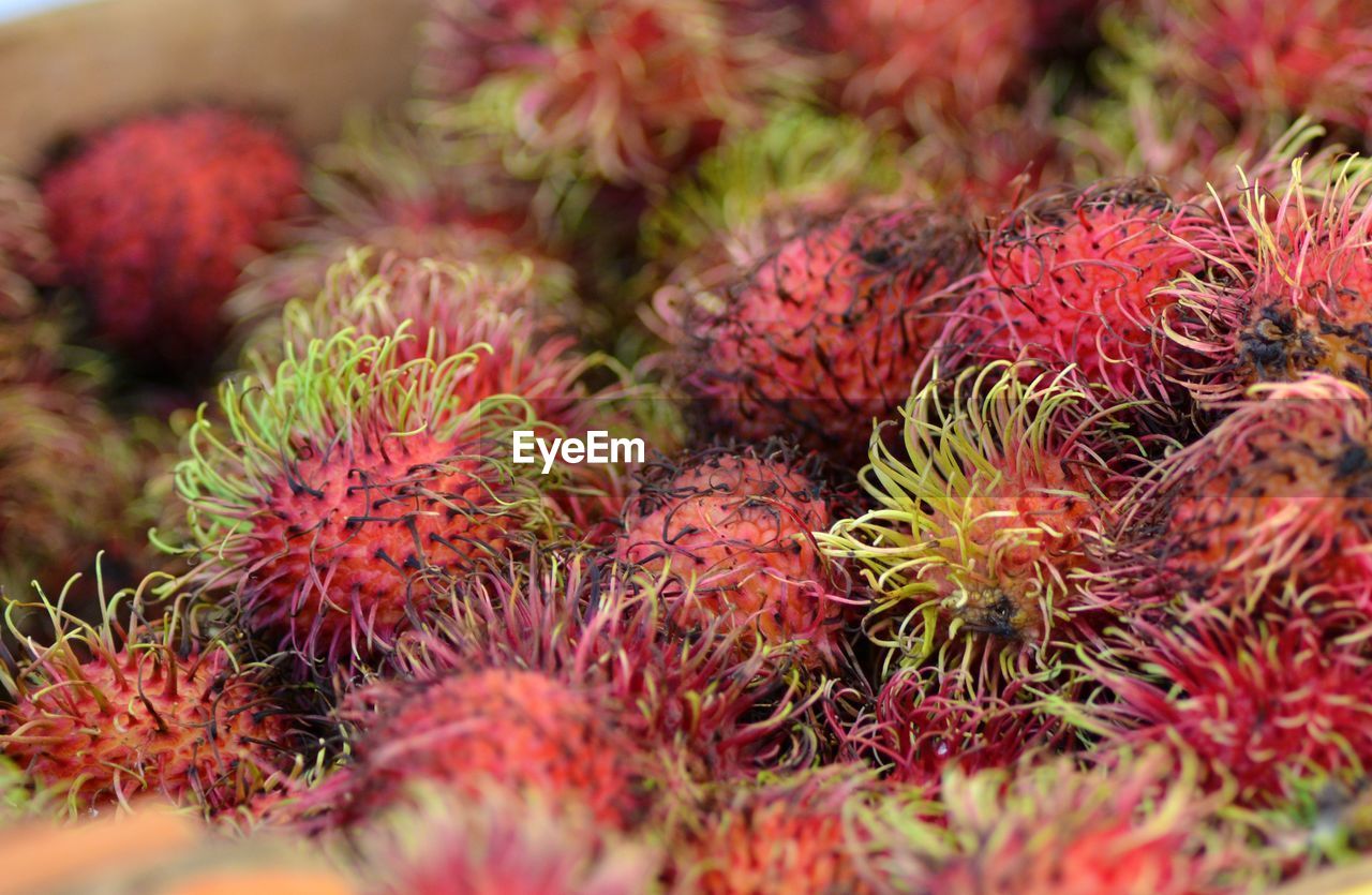 Close-up of lychees at market