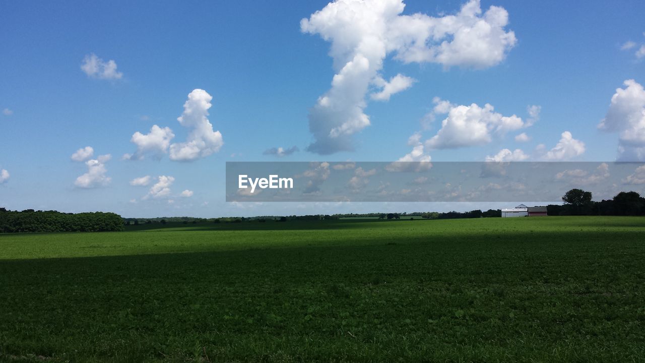 Green field against sky