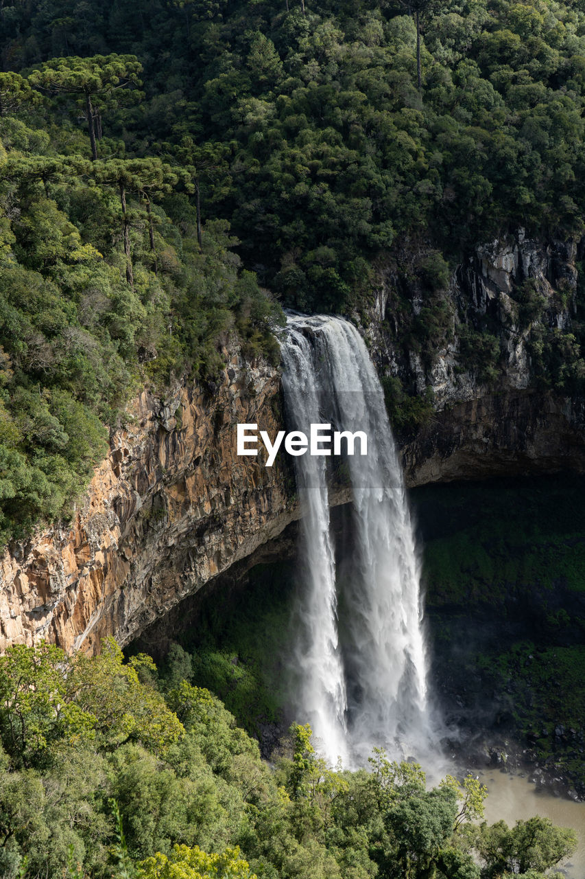 Scenic view of waterfall in forest