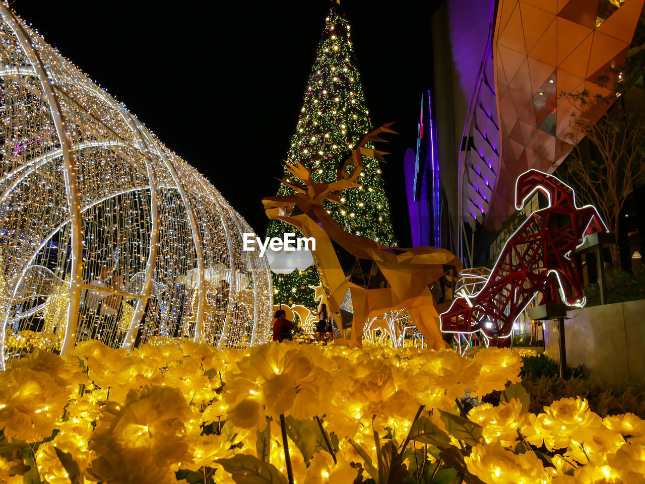 CLOSE-UP OF ILLUMINATED CHRISTMAS LIGHTS