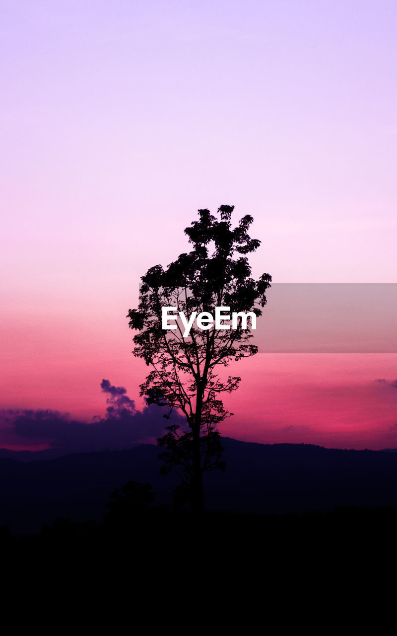 Silhouette tree on field against sky at sunset