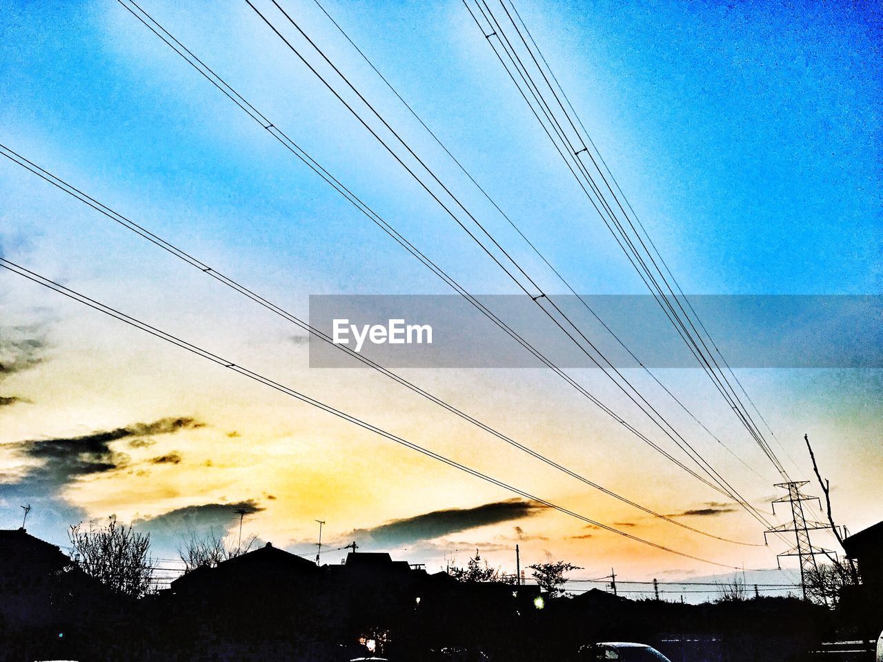 LOW ANGLE VIEW OF SILHOUETTE TREES AGAINST SKY