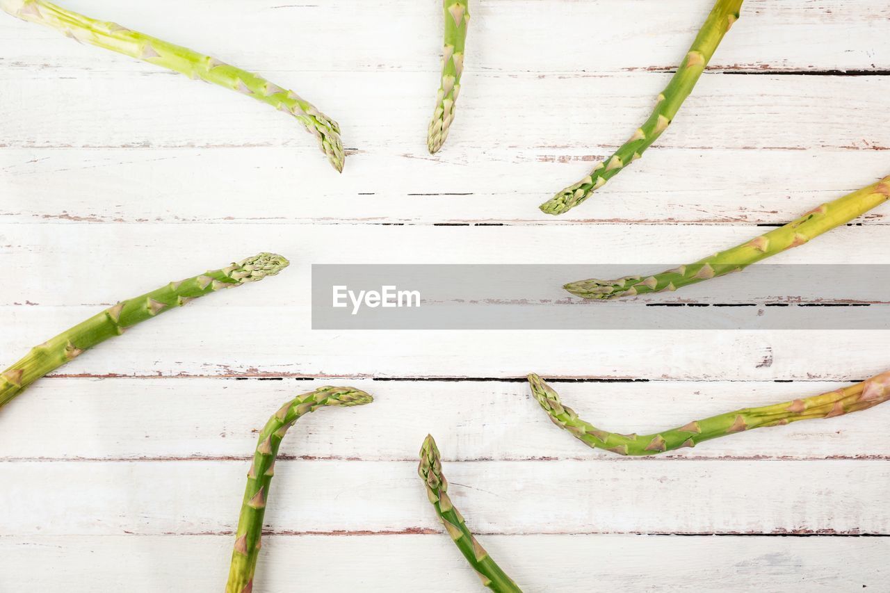 branch, food, healthy eating, food and drink, leaf, vegetable, green, studio shot, wellbeing, line, indoors, wood, no people, freshness, twig, plant, plant stem, high angle view, directly above, organic, nature, still life, herb, backgrounds, close-up