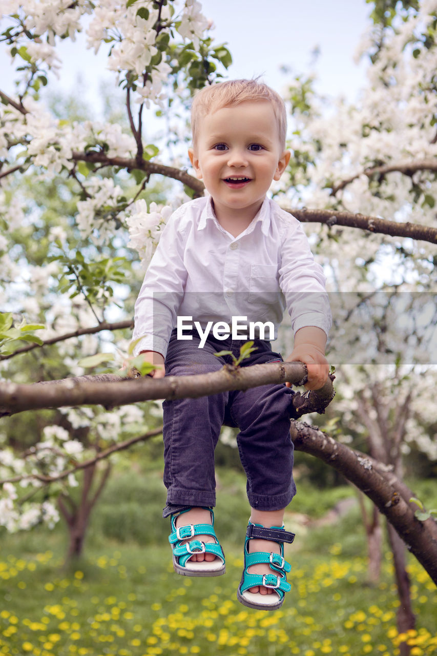 Little boy blond in a white shirt and blue pants sitting on flowered tree apple tree white flowers