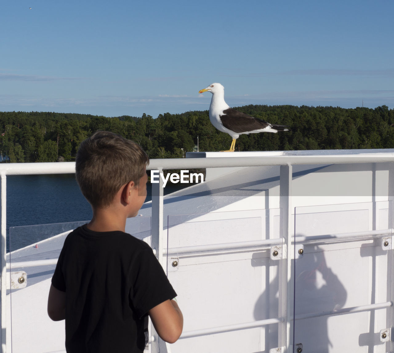 REAR VIEW OF A BOY STANDING BY BIRD