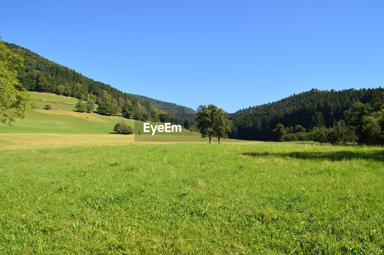 SCENIC VIEW OF LANDSCAPE AGAINST CLEAR BLUE SKY