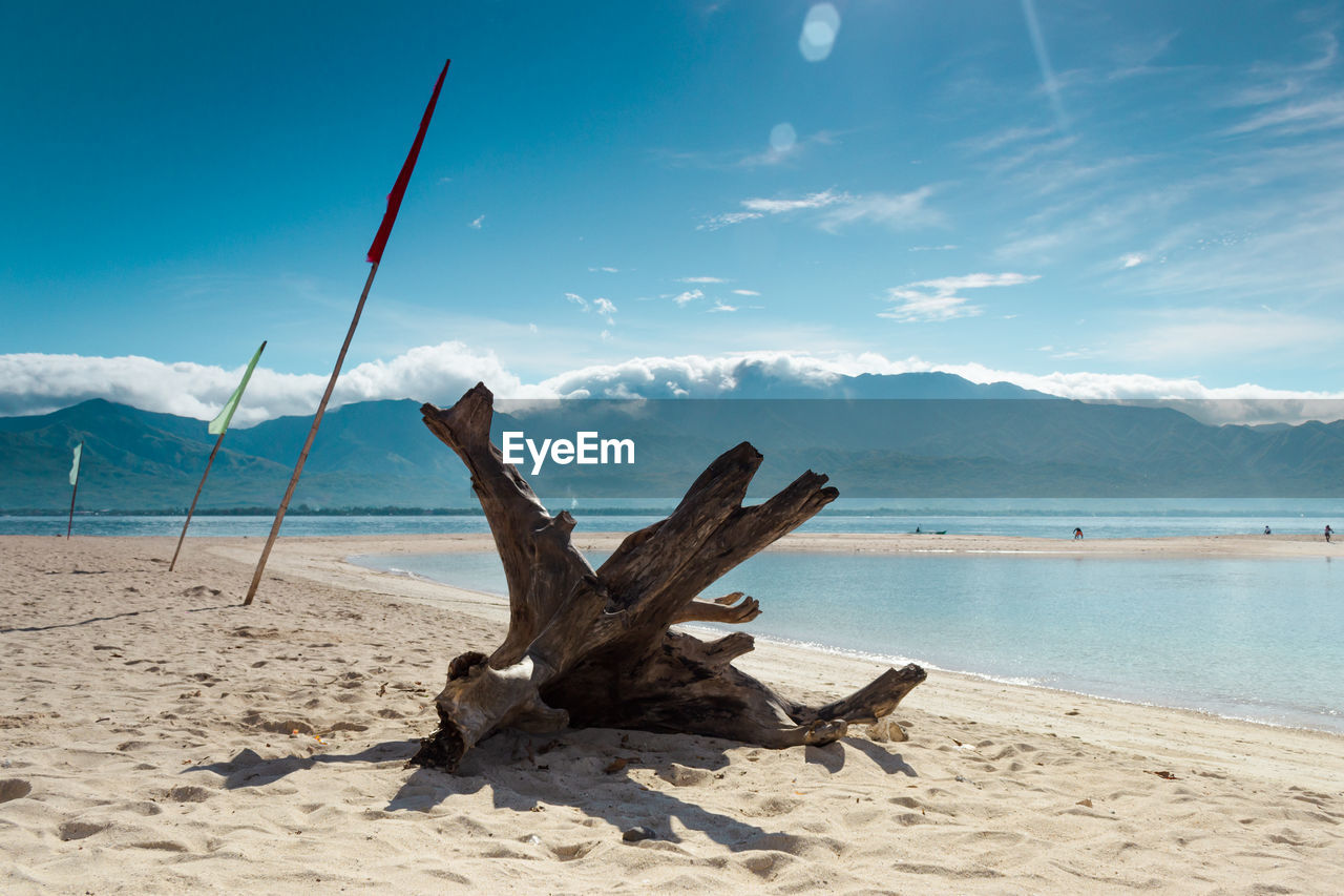 Driftwood on beach against sky