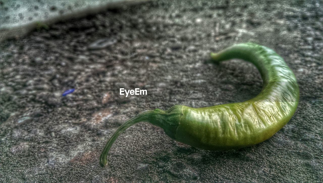 Close-up of green chili pepper on street