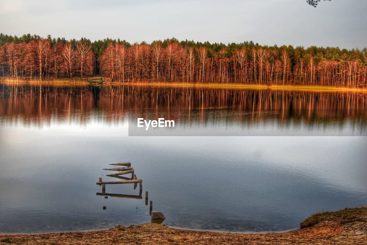 Trees reflecting in calm lake