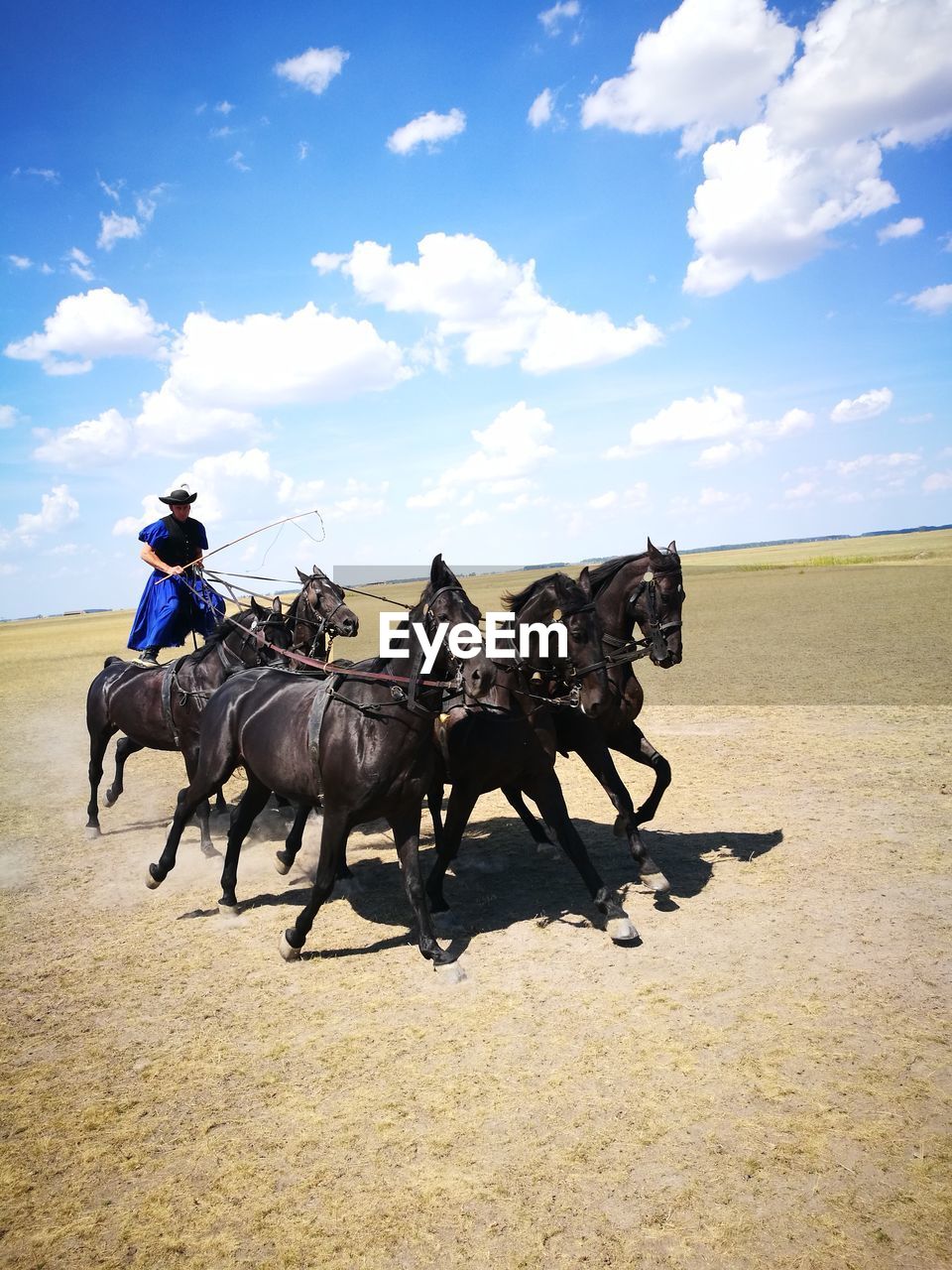 Man riding horses on field against sky