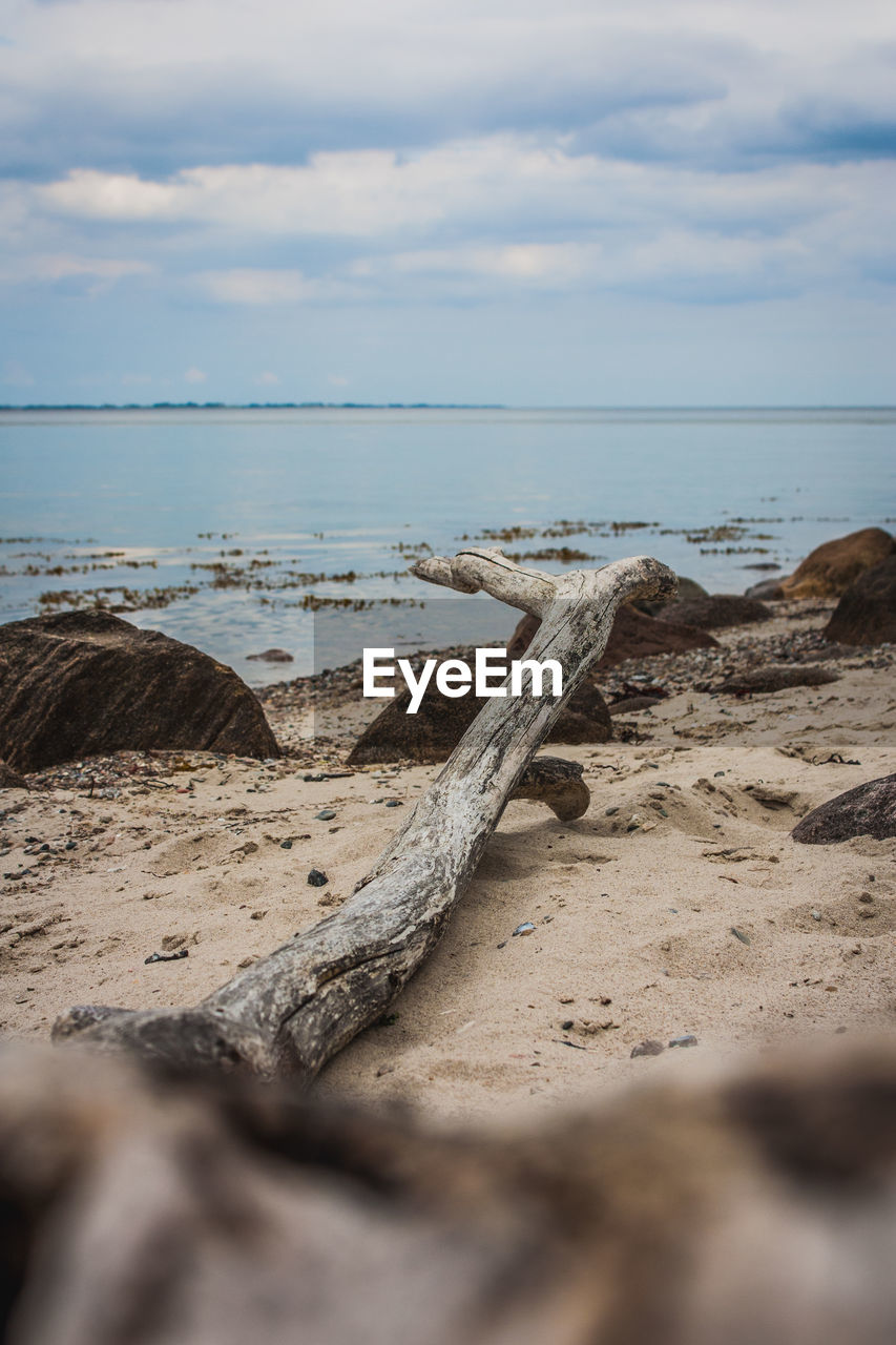 Driftwood on beach against sky