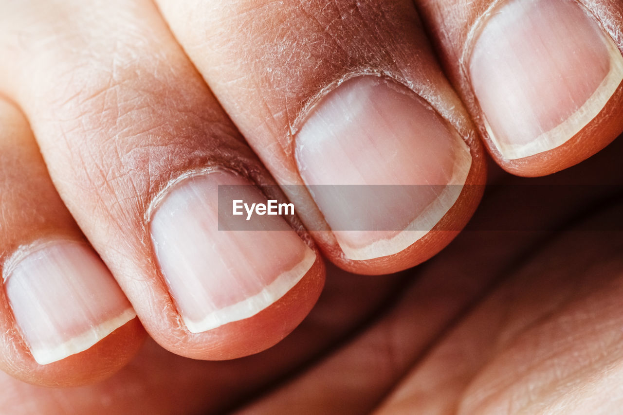 Close-up of human fingers