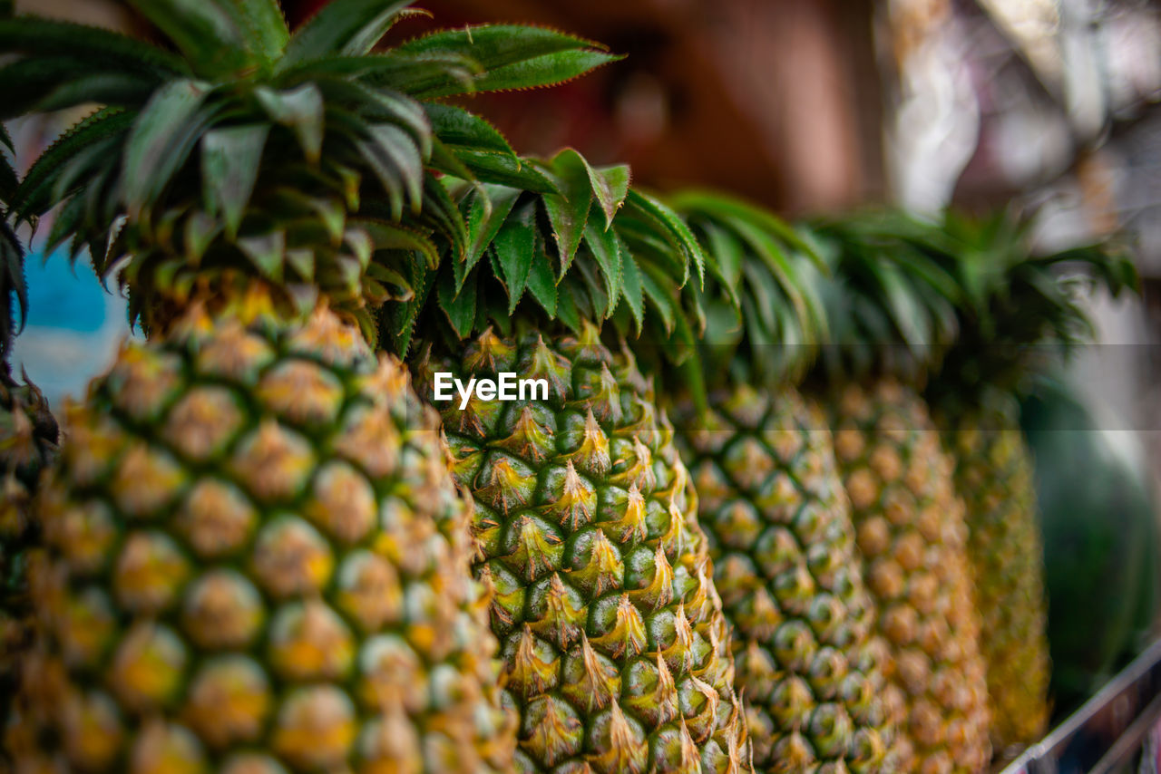 Close-up of pineapple in market for sale.