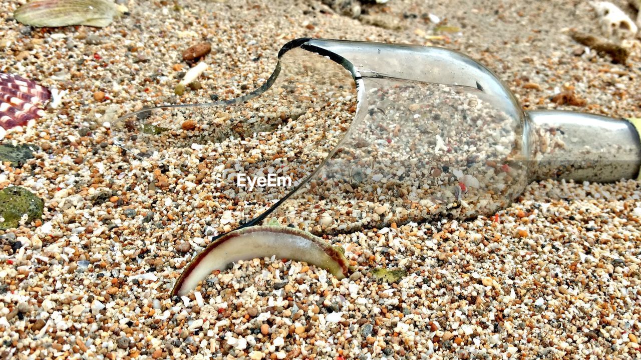 CLOSE-UP OF CRAB ON SAND