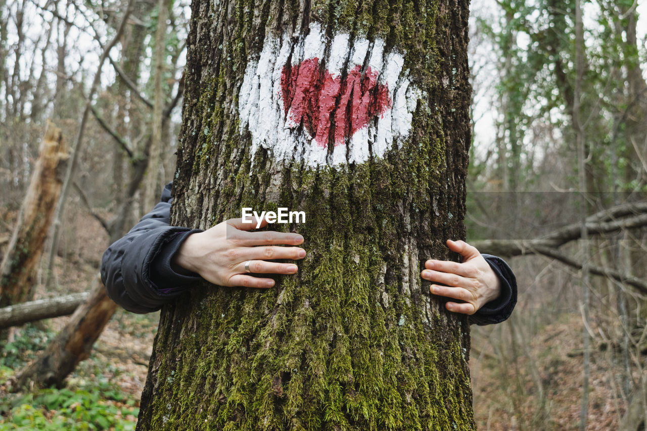 Close-up of woman embracing tree in forest