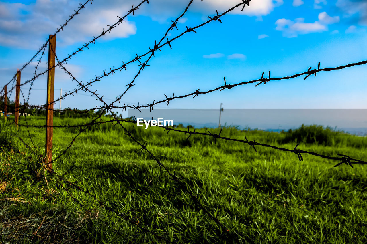 VIEW OF BARBED WIRE FENCE ON FIELD