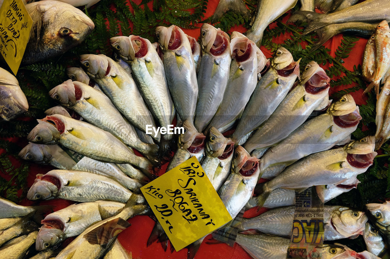 CLOSE-UP OF FISH FOR SALE IN MARKET