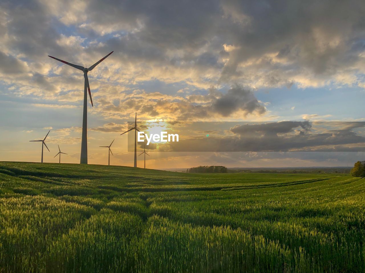 Scenic view of field against sky during sunset