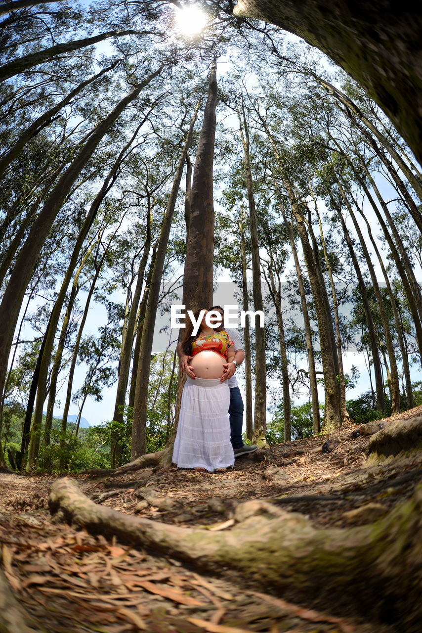 Pregnant woman and his husband standing by tree trunk in eucaliptus forest