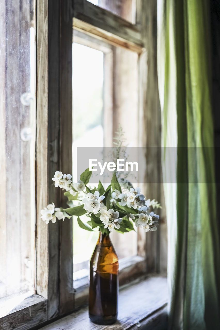 window, plant, indoors, green, nature, flower, yellow, interior design, flowering plant, glass, no people, window sill, curtain, day, home interior, container, bottle, vase, freshness, home, wood, beauty in nature, white, sunlight, spring, food and drink, house, still life, room, domestic room, houseplant, simplicity