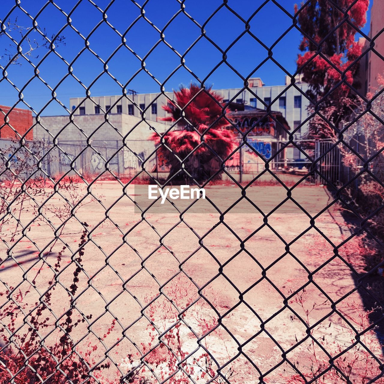 fence, chainlink fence, red, security, nature, protection, chain-link fencing, day, no people, sky, metal, outdoors, architecture, sunlight, wire fencing, plant, sports, clear sky